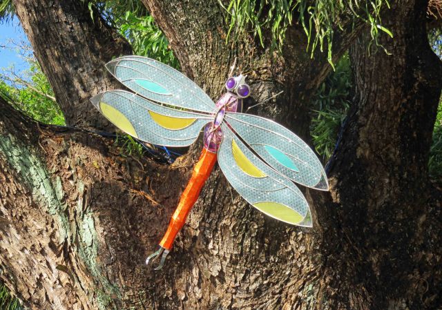 Dragonfly sculpture on a rain tree, about 1.5m across, Cairns Esplanande Lagoon. Photo: David Clode.