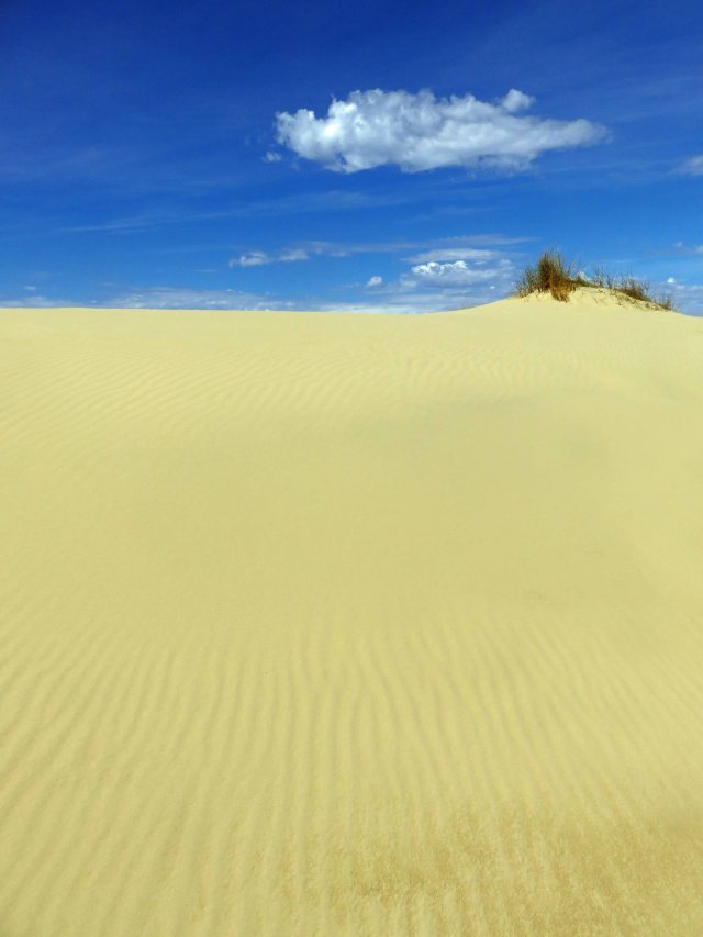 Peron Dunes, near Steiglitz, Tasmania. Photo: David Clode.